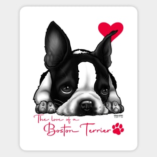 For the Love of a Boston Terrier Magnet